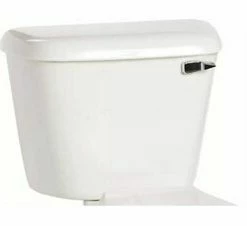 Promo 🎁 Mansfield Plumbing Products Quantum® 1.6 gpf Toilet Tank in White 👍